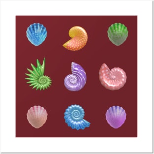 Colorful Seashells Posters and Art